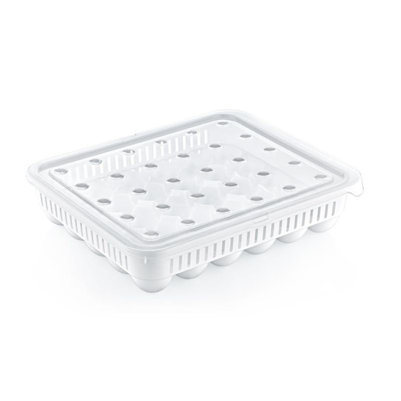 BOITE DE CONSERVATION 30 OEUFS